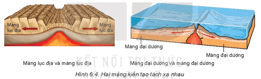 Ranh giới tách dãn giữa hai mảng kiến tạo hình thành sống núi ngầm đại dương
