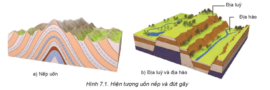 Tác động của nội lực: Các vận động kiến tạo (uốn nếp, đứt gãy) và hoạt động núi lửa