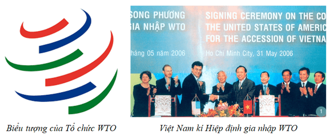 Tổ chức Thương mại Thế giới (WTO) và vai trò thúc đẩy tự do hóa thương mại toàn cầu