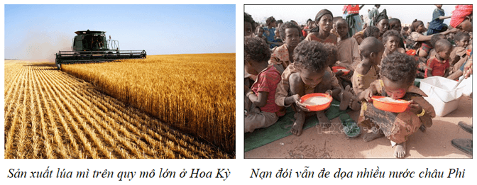 Quỹ Tiền tệ Quốc tế (IMF) và Ngân hàng Thế giới (WB) trong điều tiết tài chính quốc tế