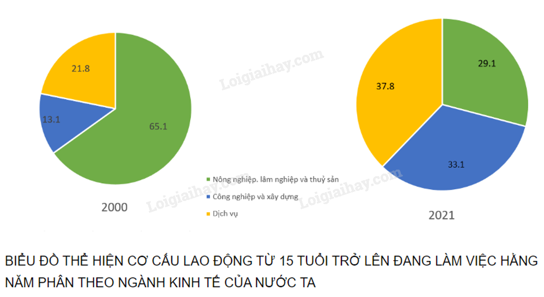 Biểu đồ cơ cấu lực lượng lao động từ 15 tuổi trở lên phân theo nhóm tuổi và khu vực kinh tế