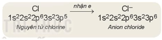 Hình ảnh minh họa SGK Hóa học 10