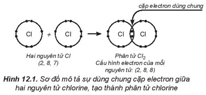 Hình ảnh minh họa SGK Hóa học 10