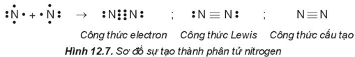 Hình ảnh minh họa SGK Hóa học 10