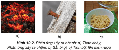 Hình ảnh minh họa SGK Hóa học 10
