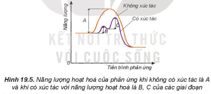 Hình ảnh minh họa SGK Hóa học 10