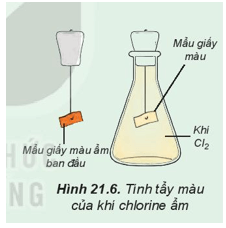Hình ảnh minh họa SGK Hóa học 10