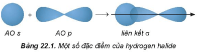 Hình ảnh minh họa SGK Hóa học 10