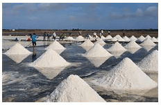 Hình ảnh minh họa SGK Hóa học 10