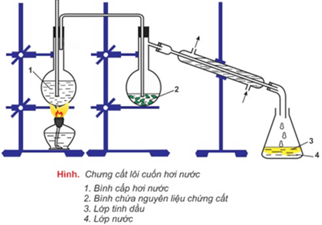 Hình ảnh minh họa SGK Hóa học 11