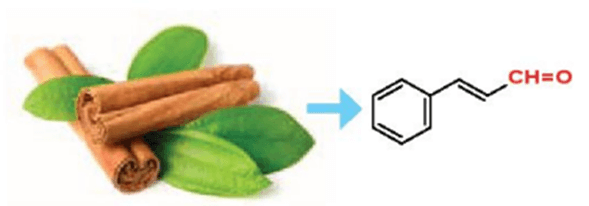 Cinnamaldehyde có trong tinh dầu quế