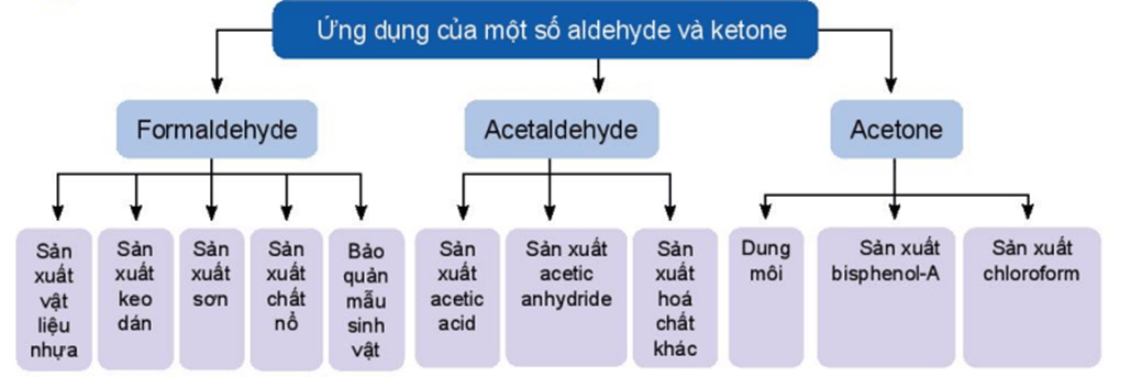 Hình ảnh minh họa SGK Hóa học 11