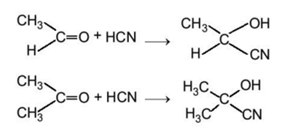 Hình ảnh minh họa SGK Hóa học 11