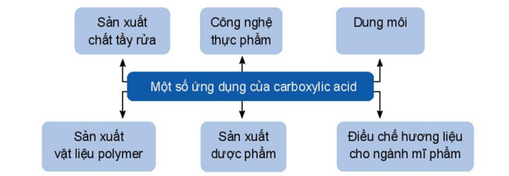 Hình ảnh minh họa SGK Hóa học 11