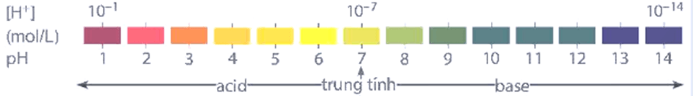 Hình ảnh minh họa SGK Hóa học 11