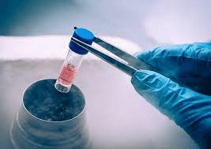 Hình ảnh minh họa SGK Hóa học 11