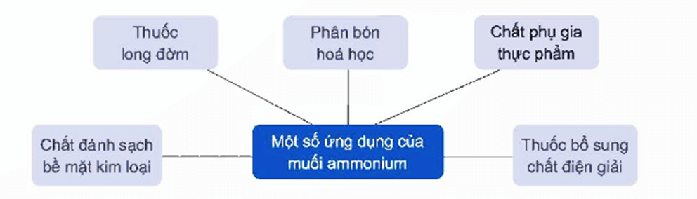 Hình ảnh minh họa SGK Hóa học 11
