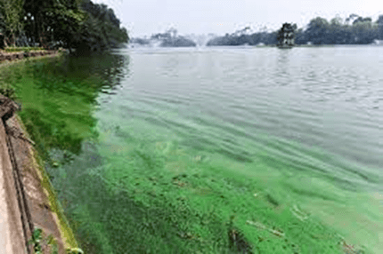 Hình ảnh minh họa SGK Hóa học 11