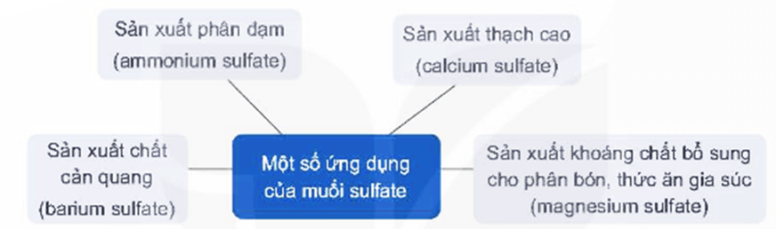 Hình ảnh minh họa SGK Hóa học 11