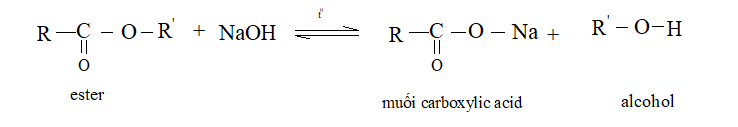 Hình ảnh minh họa SGK Hóa học 12