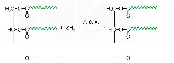 Hình ảnh minh họa SGK Hóa học 12