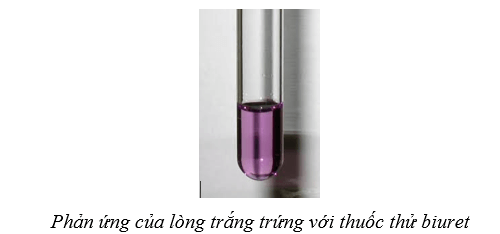 Hình ảnh minh họa SGK Hóa học 12