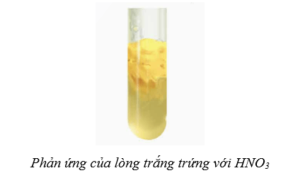 Hình ảnh minh họa SGK Hóa học 12