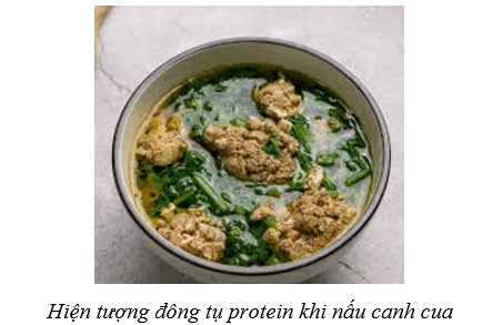 Hình ảnh minh họa SGK Hóa học 12