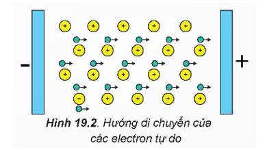 Hình ảnh minh họa SGK Hóa học 12