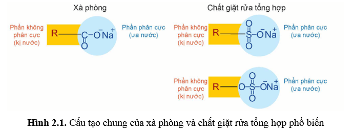 Hình ảnh minh họa SGK Hóa học 12