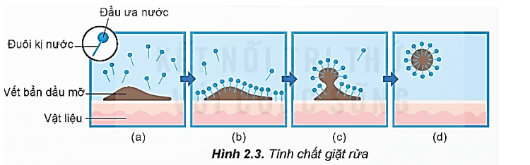 Hình ảnh minh họa SGK Hóa học 12