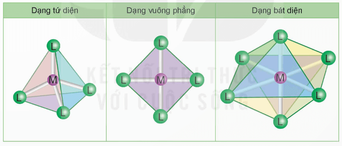Hình ảnh minh họa SGK Hóa học 12