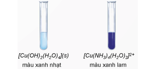 Hình ảnh minh họa SGK Hóa học 12