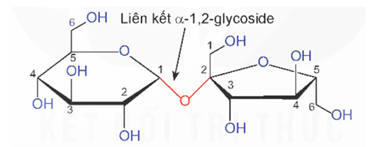 Hình ảnh minh họa SGK Hóa học 12