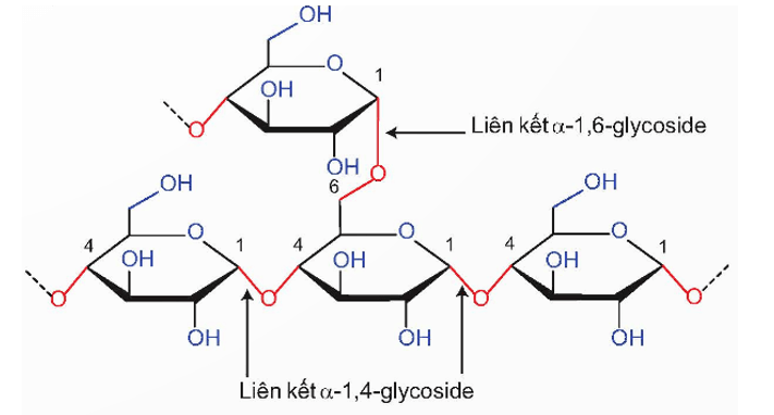 Hình ảnh minh họa SGK Hóa học 12
