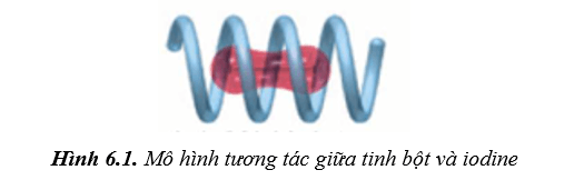 Hình ảnh minh họa SGK Hóa học 12