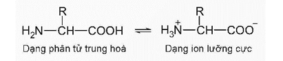 Hình ảnh minh họa SGK Hóa học 12