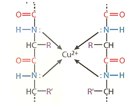 Hình ảnh minh họa SGK Hóa học 12