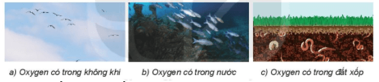 Oxygen. Không khí