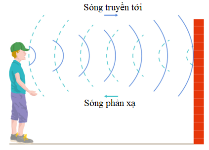 Phản xạ âm, chống ô nhiễm tiếng ồn (KHTN 7 Kết nối tri thức Bài 14)
