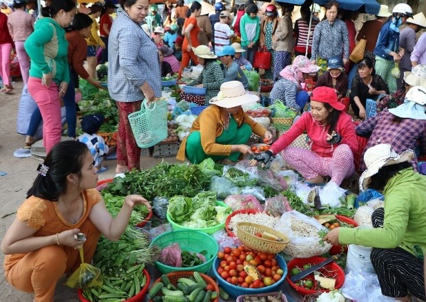 Phản xạ âm, chống ô nhiễm tiếng ồn (KHTN 7 Kết nối tri thức Bài 14)