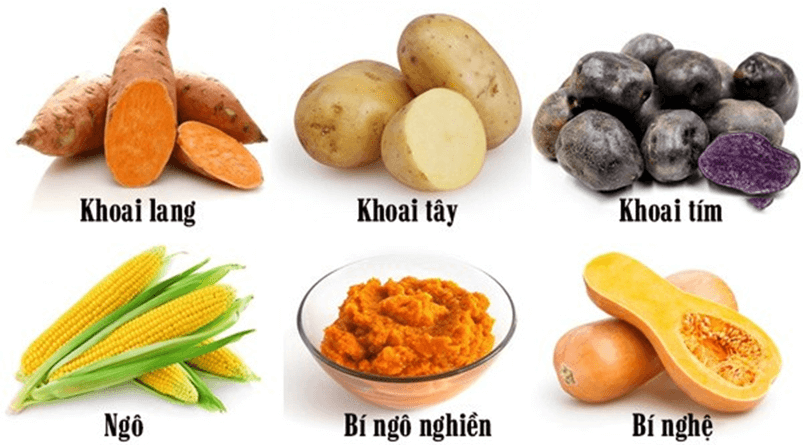 Quang hợp ở thực vật (KHTN 7 Kết nối tri thức Bài 22)