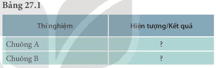 Thực hành: Hô hấp ở thực vật (KHTN 7 Kết nối tri thức Bài 27)