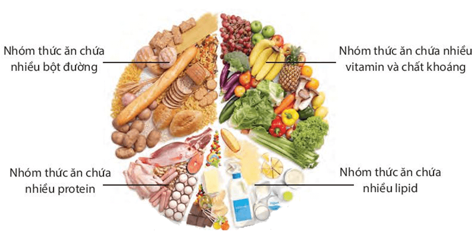 ![Vai trò của nước và chất dinh dưỡng đối với sinh vật (KHTN 7 Kết nối tri thức Bài 29)