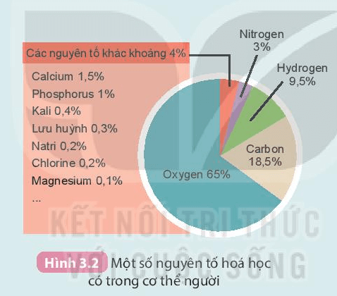 Nguyên tố hóa học (KHTN 7 Kết nối tri thức Bài 3)