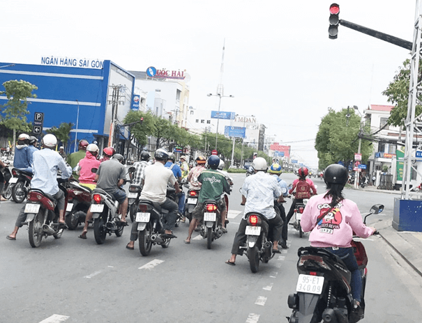 Cảm ứng ở sinh vật và tập tính ở động vật (KHTN 7 Kết nối tri thức Bài 33)