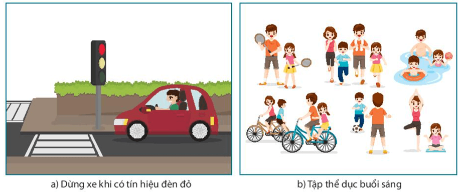 Vận dụng hiện tượng cảm ứng ở sinh vật vào thực tiễn (KHTN 7 Kết nối tri thức Bài 34)