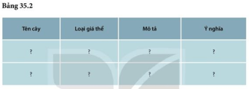 Thực hành: Cảm ứng ở sinh vật (KHTN 7 Kết nối tri thức Bài 35)