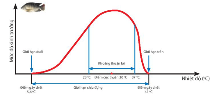 Ứng dụng sinh trưởng và phát triển ở sinh vật vào thực tiễn (KHTN 7 Kết nối tri thức Bài 37)