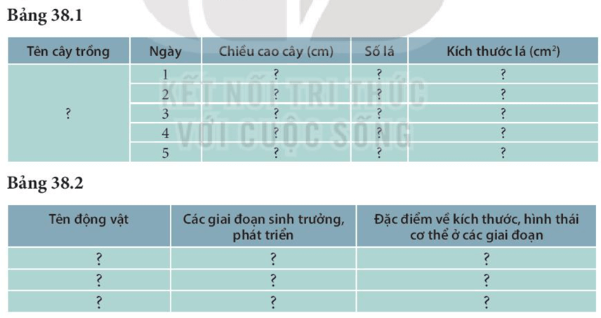 Thực hành: Quan sát, mô tả sự sinh trưởng và phát triển ở một số sinh vật (KHTN 7 Kết nối tri thức Bài 38)